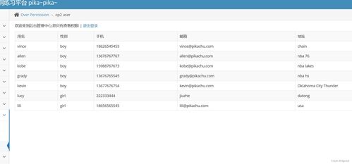 網(wǎng)絡(luò)與信息安全軟件開發(fā) 第八天關(guān)鍵漏洞分析與防護